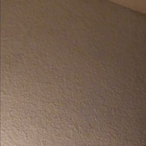 Meet your Posher, Freda